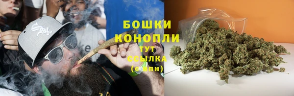 дурь Киреевск