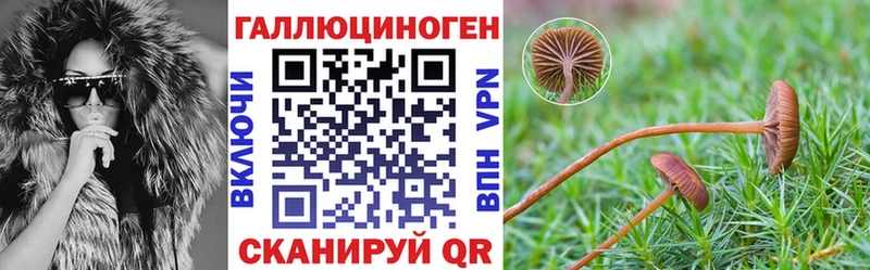 где купить наркоту  Кинешма  Галлюциногенные грибы MAGIC MUSHROOMS 