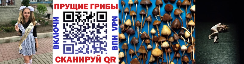 Псилоцибиновые грибы мухоморы Кинешма