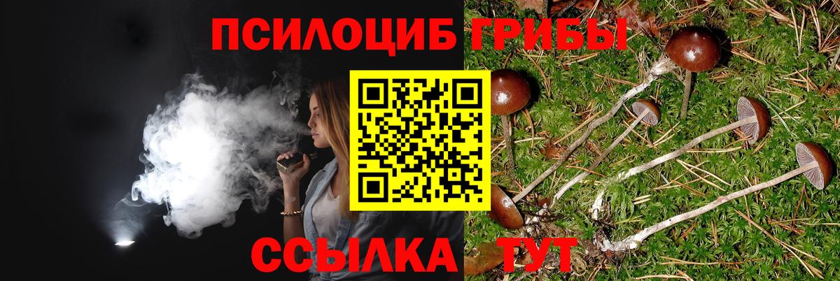 Псилоцибиновые грибы Magic Shrooms  Вход с VPN  Галлюциногенные грибы Cubensis  Кинешма 